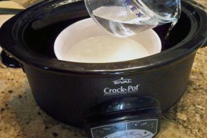 Here is what your slow cooker will look like with the pyrex inside, then fill with about 8 or more cups of water to make the water bath.  The water will come half way up the sides of the white container inside the slow cooker. Don't forget the lid for the slow cooker.