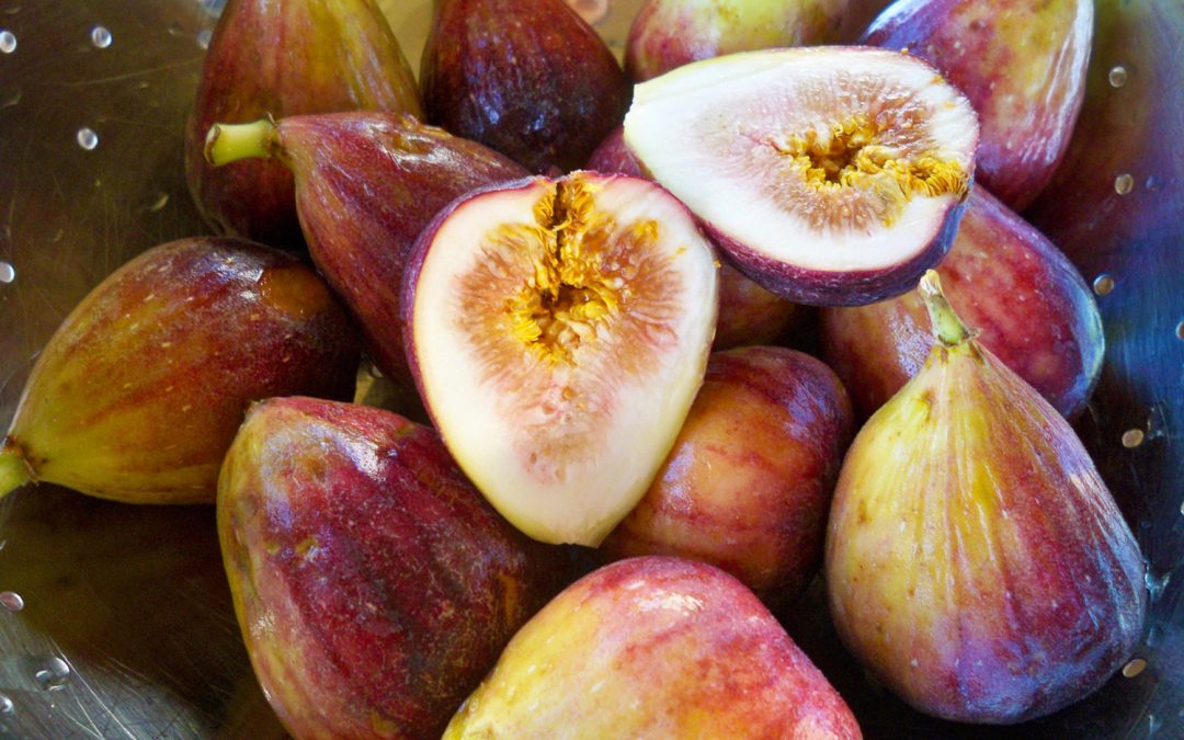 Prosciutto Wrapped Figs